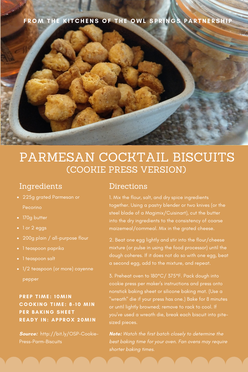 Parmesan Cocktail Biscuits (Cookie press version)